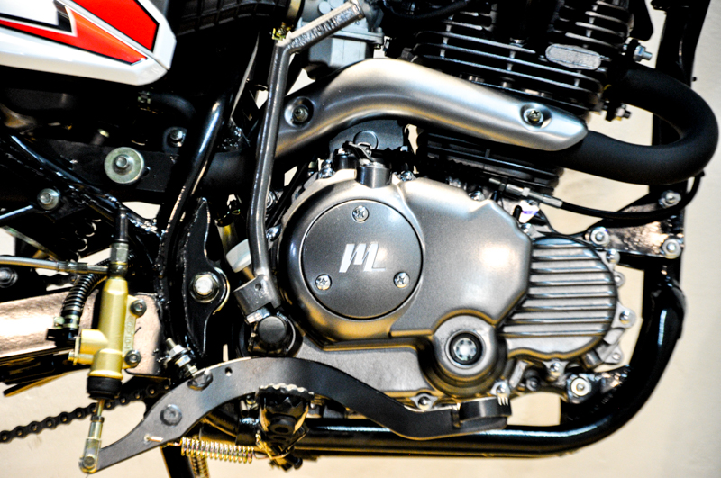 MOTOR SKUA 250